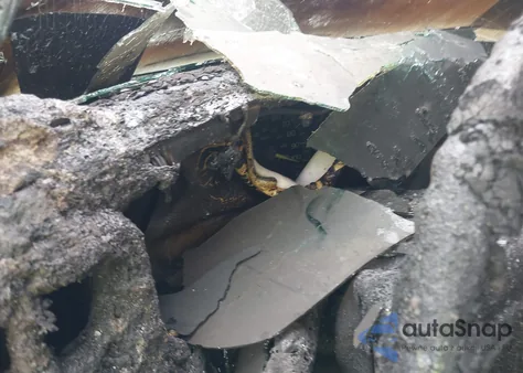 1996 Chevrolet G10 z USA, uszkodzony, nr VIN 1GCEG15W8T1043813